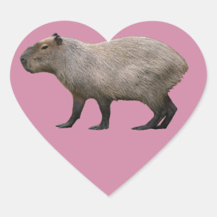 Sticker Cœur Capybara
