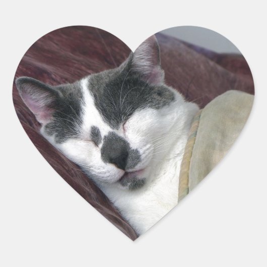Sticker Cœur Cat Napping (Devant)