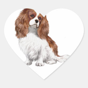 Sticker Cœur Cavalier King Charles Spaniel (Blenheim A)