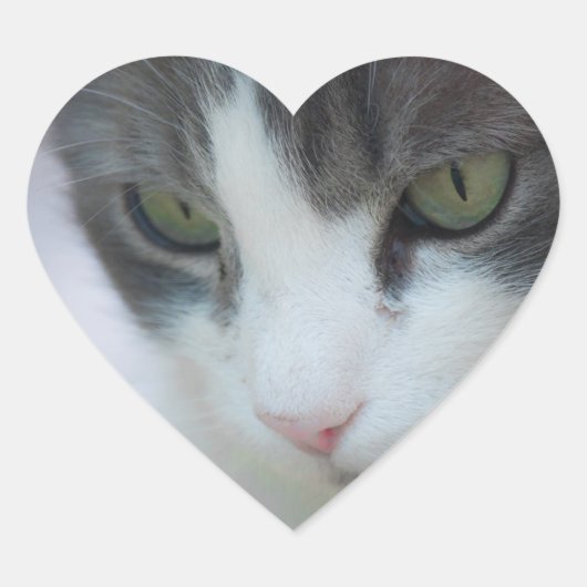 Sticker Cœur chat (Devant)