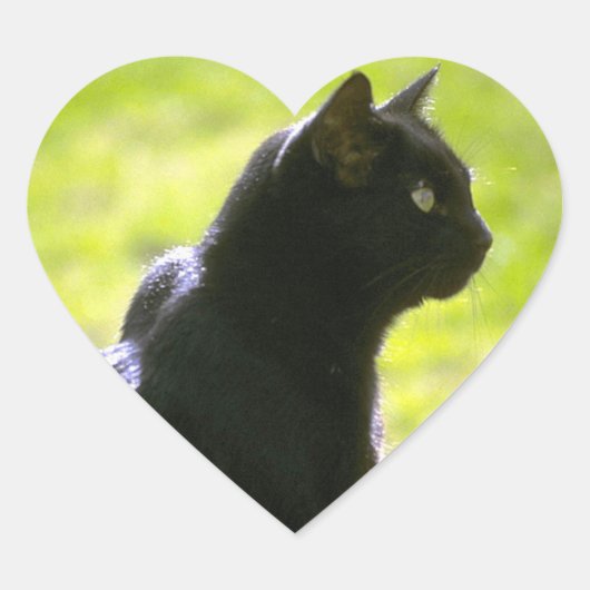 Sticker Cœur Chat noir dans le profil (Devant)