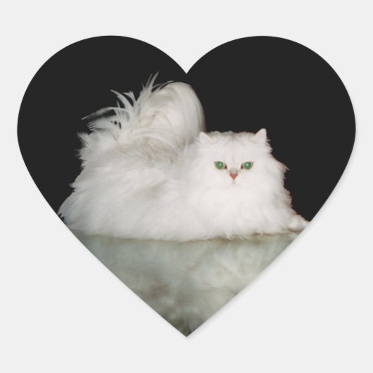 Sticker Cœur Chat Persan aux Yeux Vert Jade (Devant)