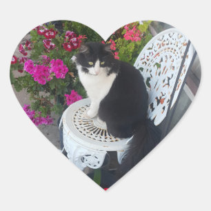 Sticker Cœur Chat Tuxedo Mignon avec de Jolis Fleurs Chats Noir