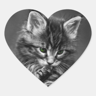 Sticker Cœur Chaton aux yeux verts