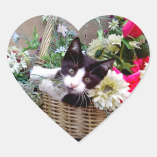 Sticker Cœur Chaton dans un panier