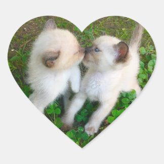Sticker Cœur chatons qui s'embrassent