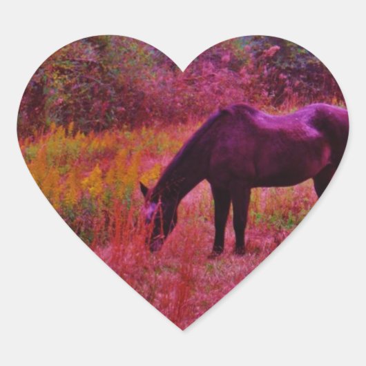 Sticker Cœur Cheval dans un champ de couleur Kaleidoscope (Devant)