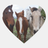 Sticker Cœur Cheveux Frisqués : De Bons Problèmes De Cheval, (Devant)