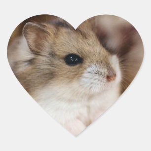 Sticker Cœur Chibby