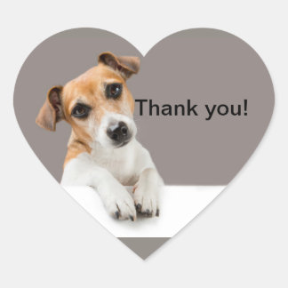 Sticker Cœur Chiots Jack Russell Doux Adorable Mignon Coeur Aut