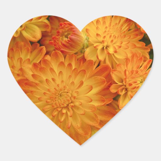 Sticker Cœur Chrysanthèmes orange Fire (Devant)