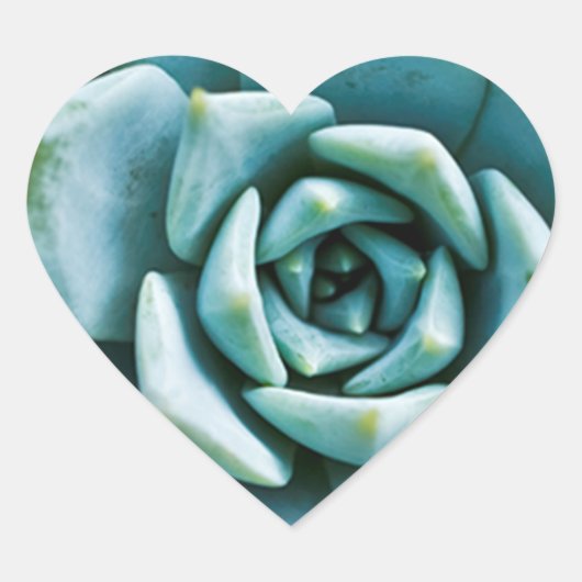 Sticker Cœur Closeup Succulent (Devant)