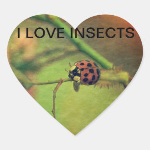 Sticker Cœur Coccinelle