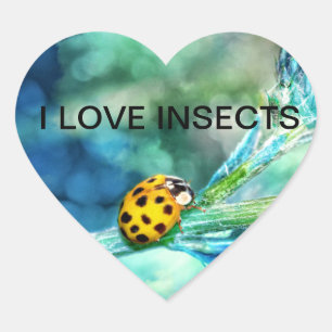 Sticker Cœur coccinelle