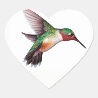 Sticker Coeur Coeur Coeur Colibri