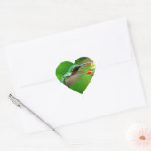 Sticker Cœur Coeur de colibri (Enveloppe)