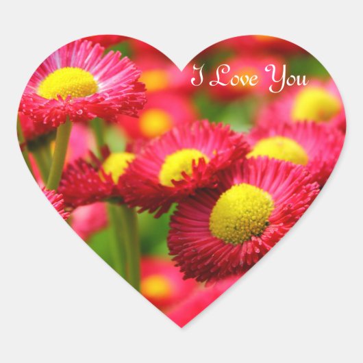 Sticker Cœur Coeur Je T'Aime (Devant)