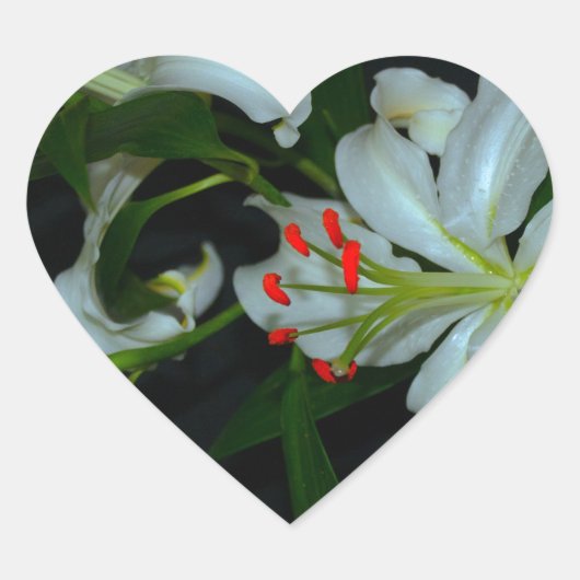 Sticker Cœur Collection Irlandaise de laiton et de fleurs (Devant)