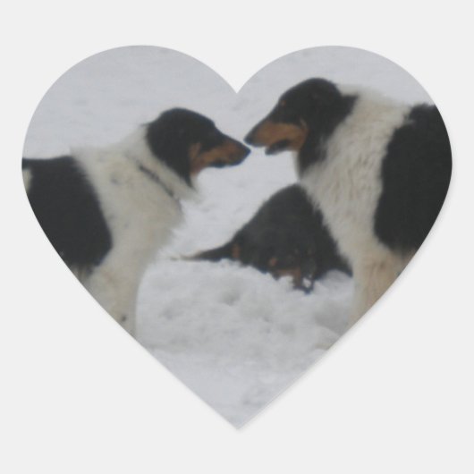 Sticker Cœur Collie Love (Devant)