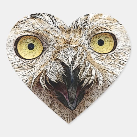 Sticker Cœur Comment Es-Tu ? Owl Qui Êtes-Vous ? (Devant)