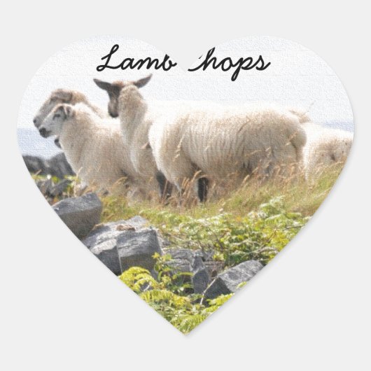 Sticker Cœur Conceptions originales - Moutons dans un champ (Devant)