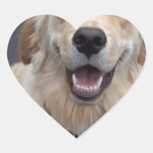 Sticker Cœur Créez vos propres expressions ! Des outils faciles