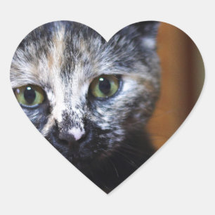 Sticker Cœur Cute Kitten noir et blanc