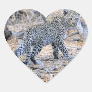 Sticker Cœur Cute Leopard Sur Le Sondage