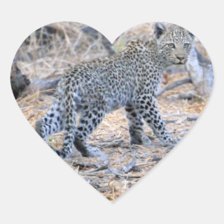 Sticker Cœur Cute Leopard Sur Le Sondage