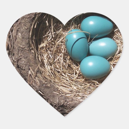 Sticker Cœur Cute Rustic Bird's Nest Blue Robin Eggs (Devant)