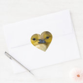 Sticker Cœur Cute Yellow Fluffy Ducklings, Baby Ducks (Enveloppe)