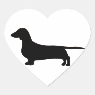 Sticker Cœur dachshund