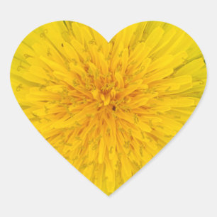 Sticker Cœur Dandelion