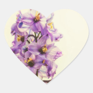 Sticker Cœur Delphinium de Larkspur violet