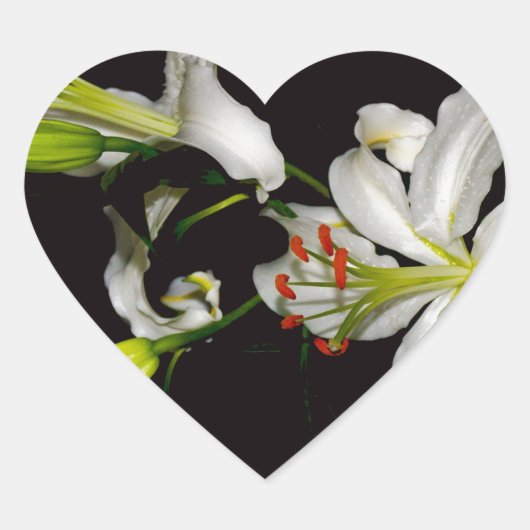 Sticker Cœur Design irlandais - Collection de laiton et de fleu (Devant)