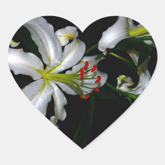 Sticker Cœur Design irlandais en laiton et en fleur (Devant)