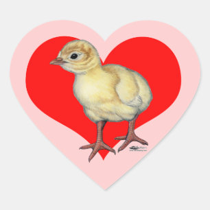 Sticker Cœur Dindon coeur