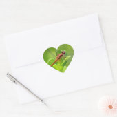 Sticker Cœur Dragonfly atterrit sur Green Garden Plante (Enveloppe)