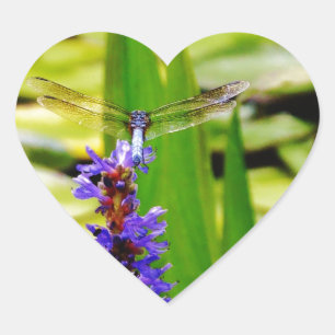 Sticker Cœur Dragonfly lotus and purple flower