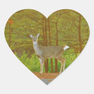 STICKER CŒUR DSCF4041.JPG