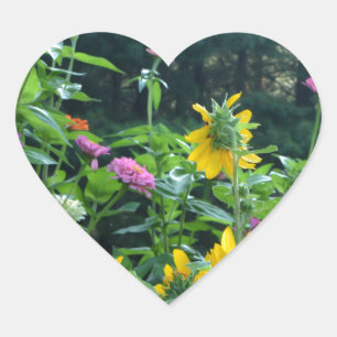 Sticker Cœur Elégant jardin fleuri tournesol zinnia mums