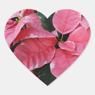 Sticker Cœur Étoiles d'Argent Marbre Poinsettias Roses Fleurs d