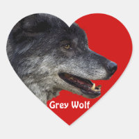 Faune Loup gris conception animal amoureux
