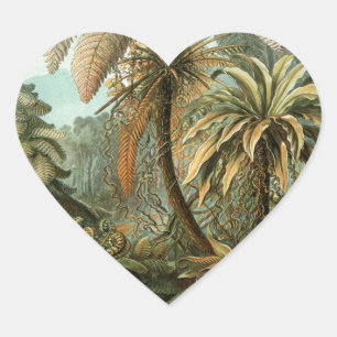 Sticker Cœur Ferns Palm Tree Antiquité Botanique Ferns Art