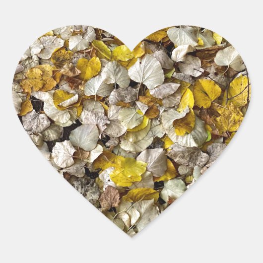 Sticker Cœur Feuilles automnales Saison automne Arbre Feuilles (Devant)