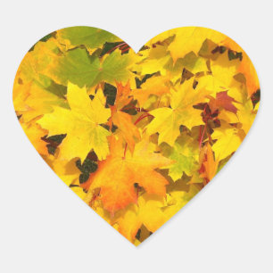 Sticker Cœur Feuilles d'érable d'automne aux couleurs automnale