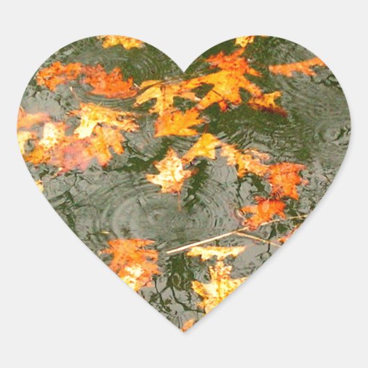 Sticker Cœur feuilles tombés sous la pluie (Devant)