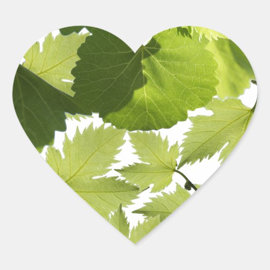Sticker Cœur Feuilles verts de vigne (Devant)