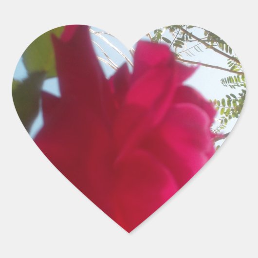 Sticker Cœur Fleur céleste : Un Rose contre le ciel (Devant)