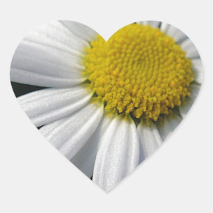 Sticker Cœur Fleur centre marguerite blanche